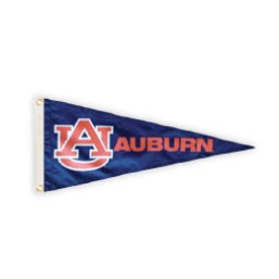 Products / Pennants image